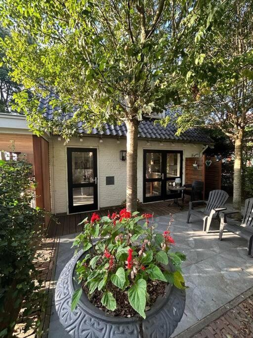 Vakantiehuis Bijsaar 노르트베이크 외부 사진